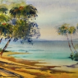 rainbow-palms