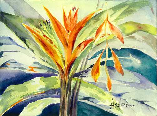 Orange Halyconia